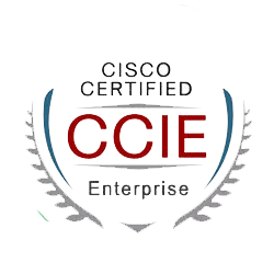 <a href="https://www.chinesedumps.com/spcor-350-401-dumps.htm">350-401 - CCIE Enterprise Infrastructure </a>